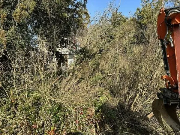 Arbo’tige galerie - 2025-12-09T092145.365