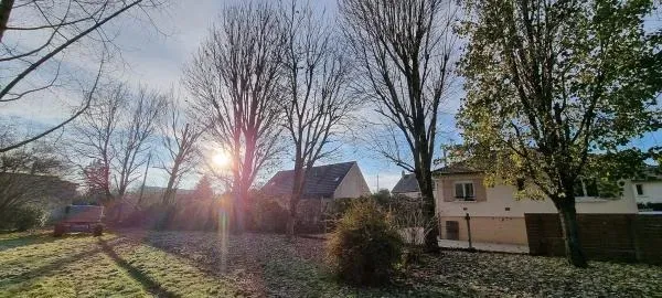 Arbo’tige galerie - 2025-12-09T092151.124