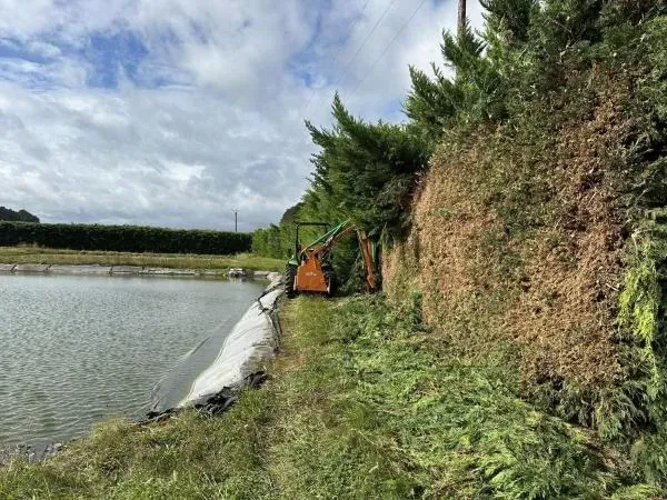 Arbo’tige galerie - 2025-12-09T092146.550