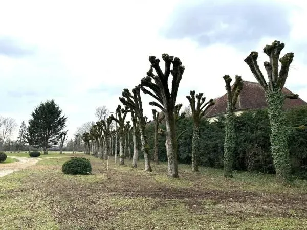 Arbo’tige galerie - 2025-12-09T092144.392