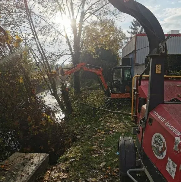 Arbo’tige galerie (77)