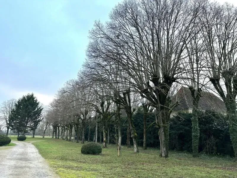 Arbo’tige galerie (26)