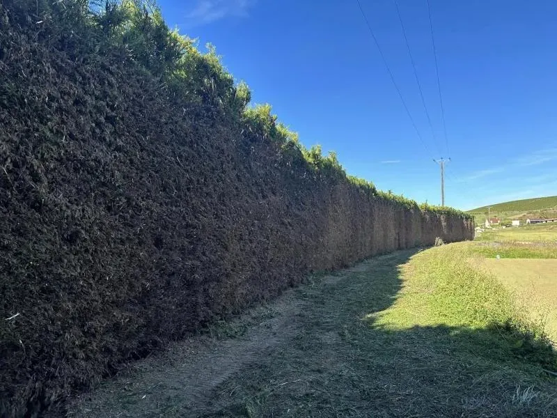 Arbo’tige galerie (18)