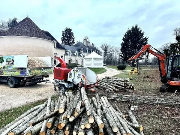 abattage à Montigny-la-Resle